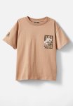 Cotton On Jurassic Park Short Sleeve Tee - Brown