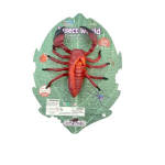 Insect World Scorpion On Card