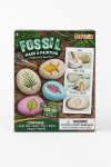 Fossil Make & Painting Kit