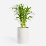 Emerging Creatives Round Sven Floor Planter - Clay Grey