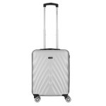 Travelwize Terra Abs 4-WHEEL Spinner Luggage - Silver