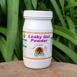 Leaky Gut Powder 150G Willow