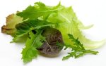 Salad Chef S Choice Mixed Leaves With Mustard Greens 120G P
