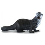 Common Otter