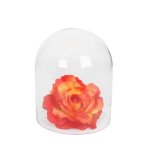 Aquarium Dome S Ml 10X7 Cm