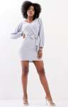 Ladies Long Sleeve MINI Dress - Light Grey - Light Grey / S