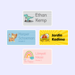 Colour Large Labels - Designer Themes