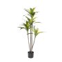 Dracena Fragrans Plant In Pot - 120CM H - Artificial