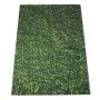 5X7FT Nature Green Grass Backdrops Photography Background