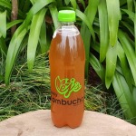 Raw Kombucha 500ML Spicy Ej’s Lifestyle Products