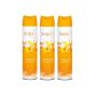 Air Freshener Summer Citrus Aerosol - 3 X 300ML