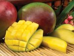 Tropical Mango Concentrate - 10ML