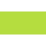 Caran D& 39 Ache Pablo Coloured Pencil - Light Green 221