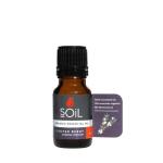 Organic Juniper Berry Essential Oil