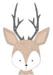 Woodlands Deer - Acrylic Wall Print - 600MM X 600MM