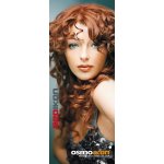 Osmo Ikon Double-sided Red Poster 100 X 40CM
