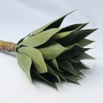 Agave Plant S Ml 40 Cm