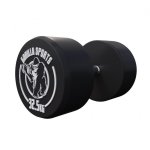 Fixed Dumbbell 32.5KG