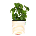 Orange Stripy Planter - Medium