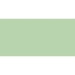 Caran D& 39 Ache Pablo Coloured Pencil - Ash Gray 401