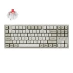 Keychron C1 Pro 8K Tkl 80% Layout 8000 Hz Polling Rate Hot-swappable Rgb Wired – New