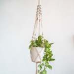 Copper Dual Macrame Plant Hanger - Natural Cotton