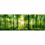 Canvas Forest