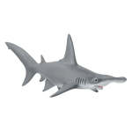 Wildlife - Hammerhead Shark