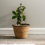 Rush Rimmed Lined Planter Basket Black