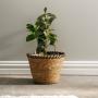 Rush Rimmed Lined Planter Basket Black