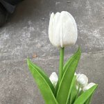 Premium Artificial Tulip Bouquet - Realistic Soft-touch Faux Flowers For Weddings Engagements & Home Decor - Perfect For Valenti