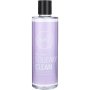 Sorbet Squeaky Clean Liquid Brush And Sponge Cleanser 250ML