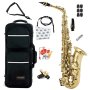CAS-21 Eb Alto Saxophone Lacquer Student Bundle