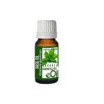 Basil Basilic Essential Oil Organic - 10 Ml