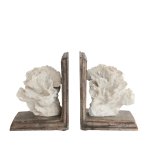 White Coral Bookends