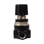 Rockworth Compressor Regulator All Sizes Livestainable