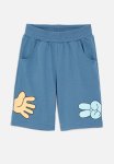 PoP Candy Printed Board Shorts - Blue