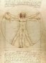 Vitruvian Man Notebook Paperback