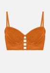Plus Vera Pd Ll - Hawaiian Sunset