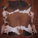 As Grade Nguni Hide 640 Tricolor XL - Extra Large Tricolor Panelled