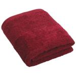 Plush Hand Towel Cardinal