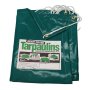 Protarp Pvc Tarpaulin 550G 6X9M Grn