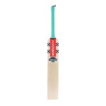 Gray-nicolls Ventus Gen 1.0 300 Cricket Bat