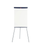 Nobo Non-magnetic Flipchart Easel 190271