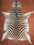 A Grade Zebra Hide 043 XL
