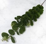 Pennygum Dark Green 85 Cm