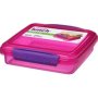 Sandwich Box Pink 450ML