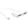 JDA146 MINI Displayport? To Dual Displayport? Adapter