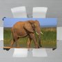 Addo Elephant Loxodonta By Fanie Heymans Rectangle Tablecloth