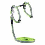 CAT Rogz Z 8MM Night Reflective Lead And H-harness Combination Lime Swallows Design Waggs Pet Shop